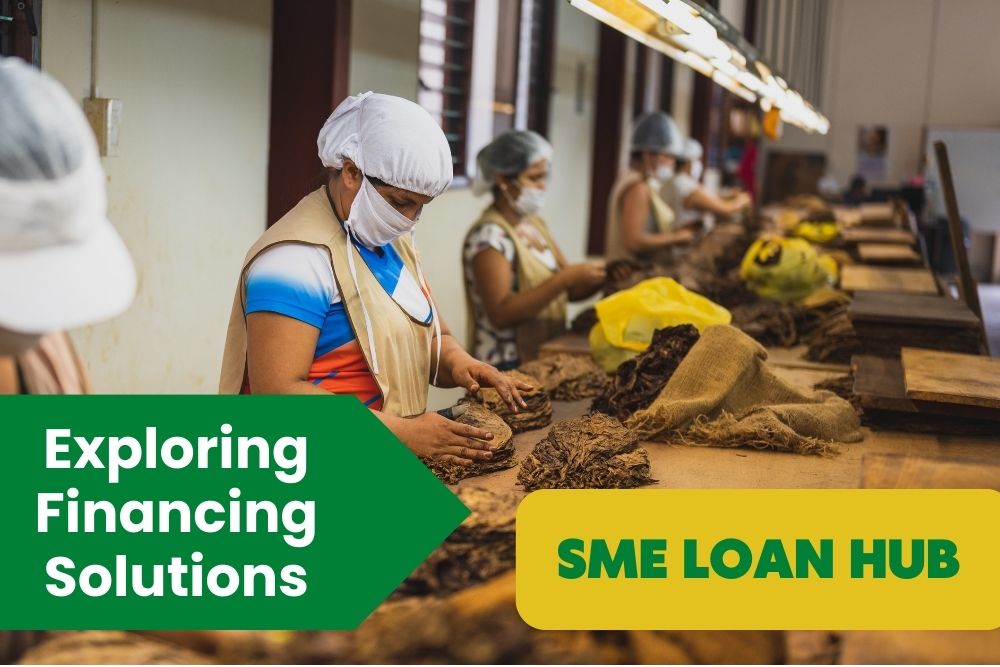 SME Loan Hub for Business